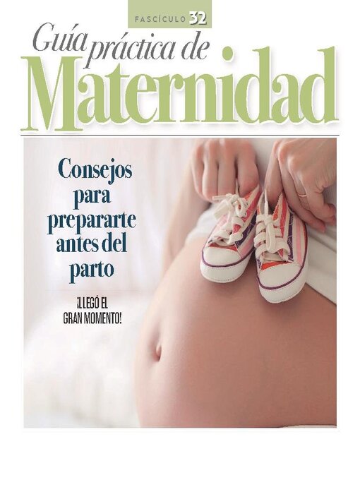 Title details for Guía práctica de Maternidad by Media Contenidos - Available